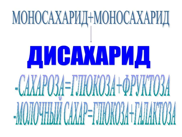 МОНОСАХАРИД+МОНОСАХАРИД ДИСАХАРИД -САХАРОЗА=ГЛЮКОЗА+ФРУКТОЗА -МОЛОЧНЫЙ САХАР=ГЛЮКОЗА+ГАЛАКТОЗА