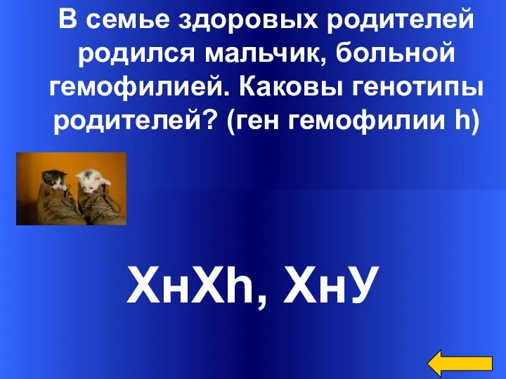 В семье здоровых родителей родился мальчик, больной гемофилией. Каковы генотипы родителей? (ген гемофилии h) ХнХh, ХнУ