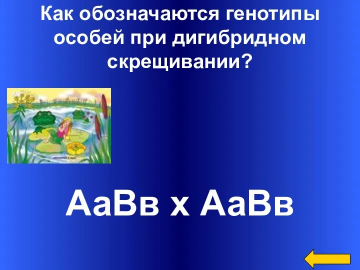 Как обозначаются генотипы особей при дигибридном скрещивании? АаВв х АаВв