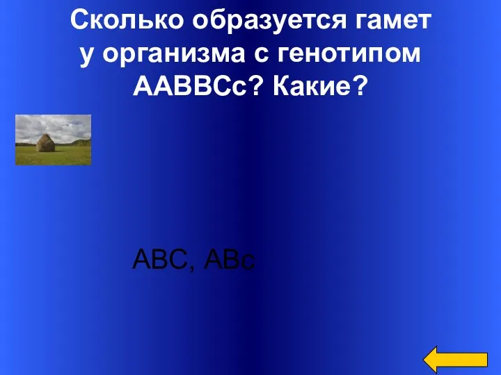 Сколько образуется гамет у организма с генотипом ААВВСс? Какие? АВС, АВс