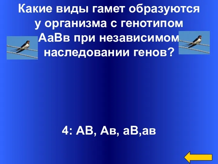 Какие виды гамет образуются у организма с генотипом АаВв при