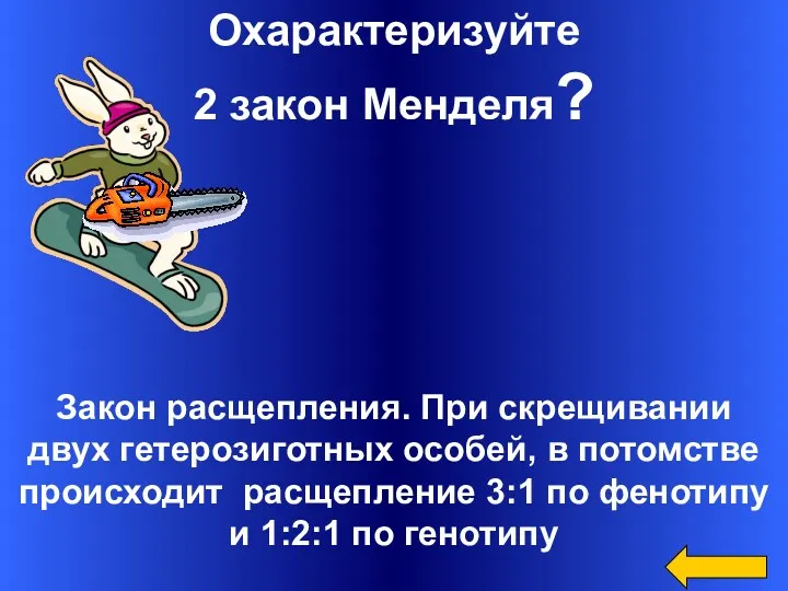 Охарактеризуйте 2 закон Менделя? Закон расщепления. При скрещивании двух гетерозиготных