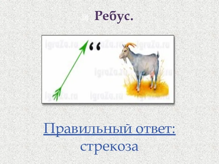 Ребус. Правильный ответ: стрекоза