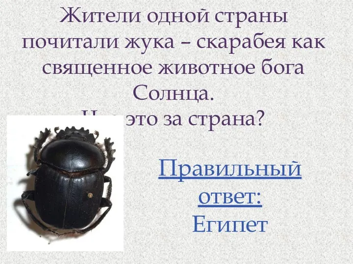 Жители одной страны почитали жука – скарабея как священное животное бога Солнца. Что