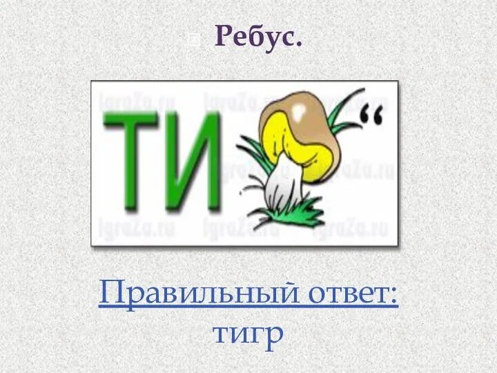 Ребус. Правильный ответ: тигр