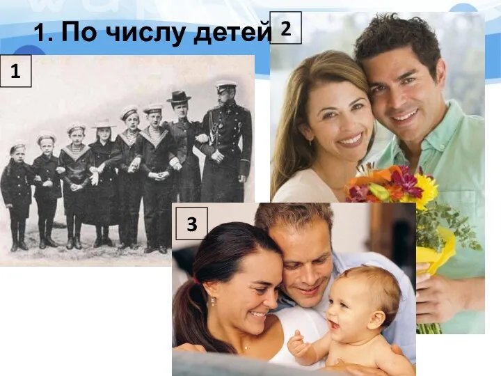 1. По числу детей 3