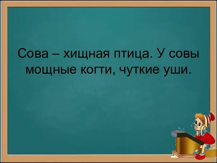 Сова – хищная птица. У совы мощные когти, чуткие уши.