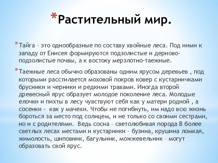 Растительный мир. Тайга – это однообразные по составу хвойные леса.