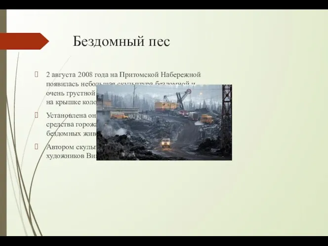 Бездомный пес 2 августа 2008 года на Притомской Набережной появилась