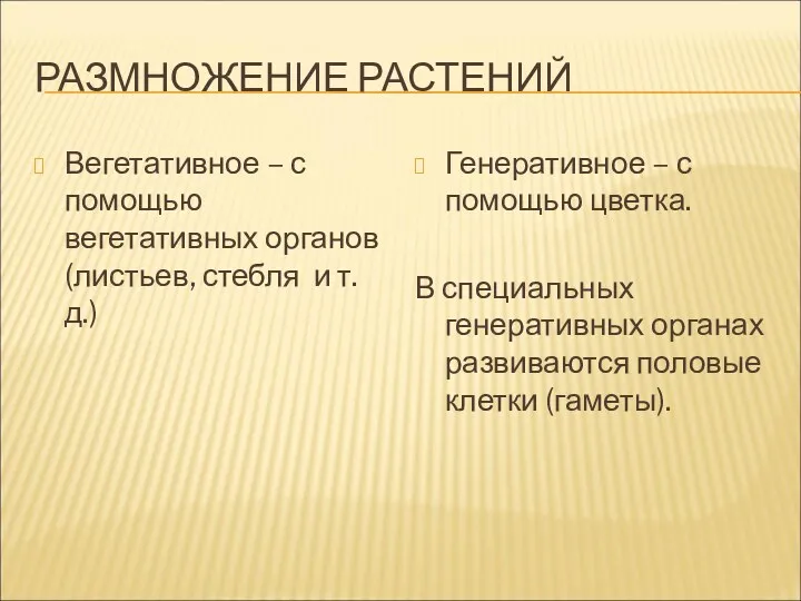 РАЗМНОЖЕНИЕ РАСТЕНИЙ Вегетативное – с помощью вегетативных органов (листьев, стебля