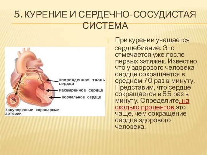 5. Курение и сердечно-сосудистая система При курении учащается сердцебиение. Это