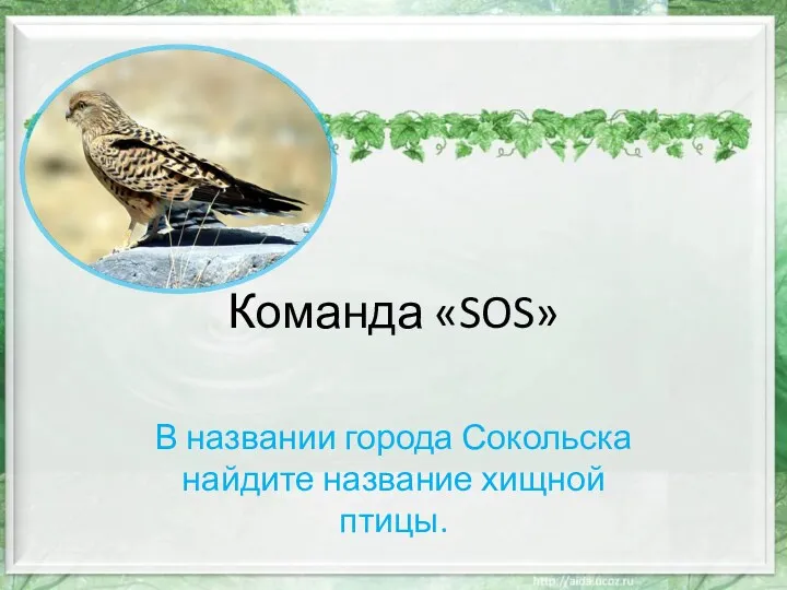 Команда «SOS» В названии города Сокольска найдите название хищной птицы.