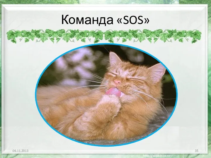 Команда «SOS»