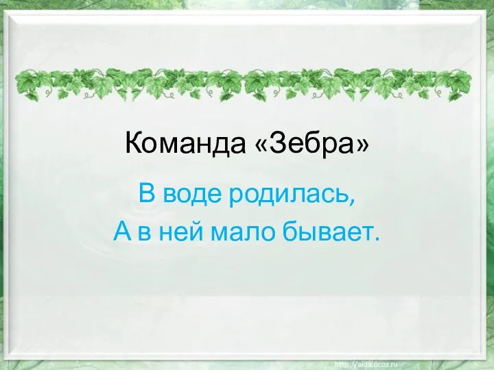 Команда «Зебра» В воде родилась, А в ней мало бывает.