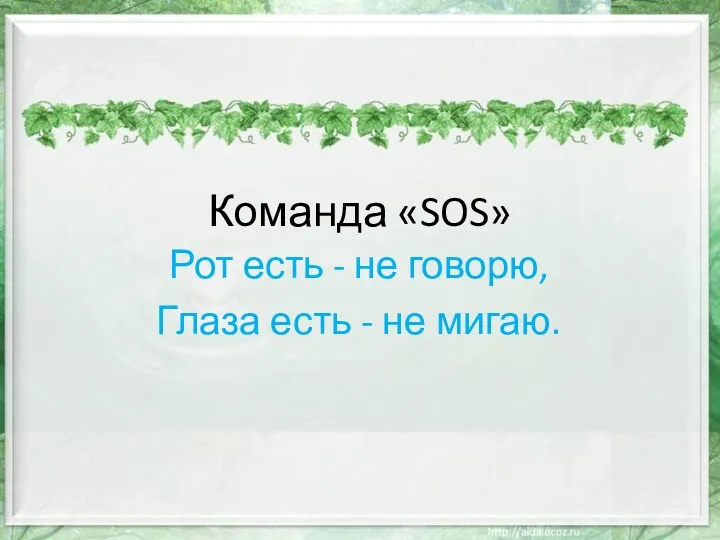 Команда «SOS» Рот есть - не говорю, Глаза есть - не мигаю.