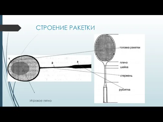 СТРОЕНИЕ РАКЕТКИ Игровое пятно