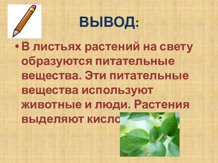 ВЫВОД: В листьях растений на свету образуются питательные вещества. Эти питательные вещества используют