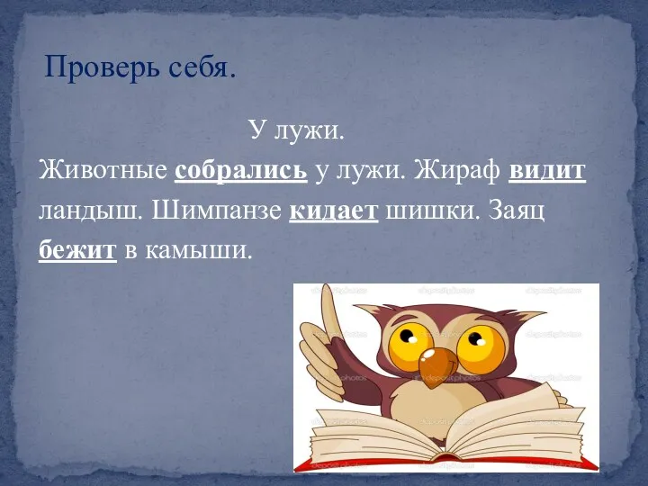 У лужи. Животные собрались у лужи. Жираф видит ландыш. Шимпанзе