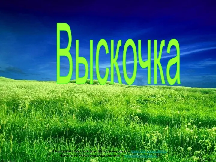 Выскочка «Образовательный портал Мой университет – www.moi-universitet.ru, факультет «Реформа образования» – www.edu-reforma.ru»