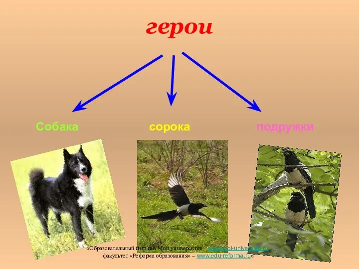 герои Собака сорока подружки «Образовательный портал Мой университет – www.moi-universitet.ru, факультет «Реформа образования» – www.edu-reforma.ru»