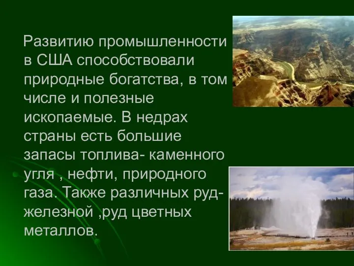 Развитию промышленности в США способствовали природные богатства, в том числе