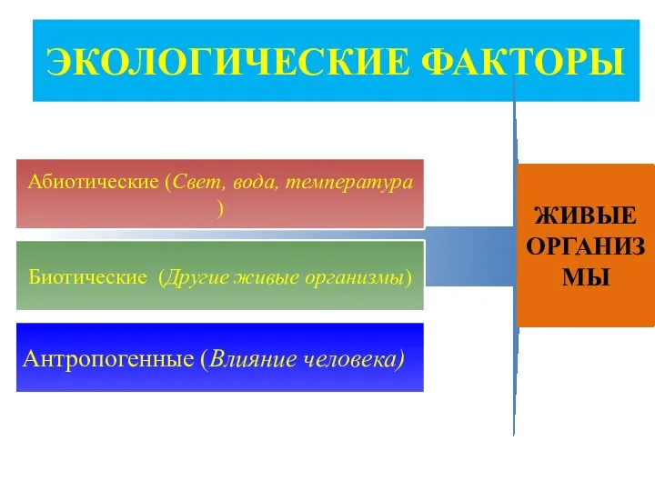 ЭКОЛОГИЧЕСКИЕ ФАКТОРЫ Абиотические (Свет, вода, температура ) Биотические (Другие живые организмы) Антропогенные (Влияние человека) ЖИВЫЕ ОРГАНИЗМЫ