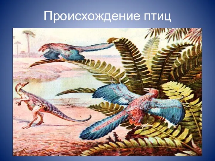 Происхождение птиц