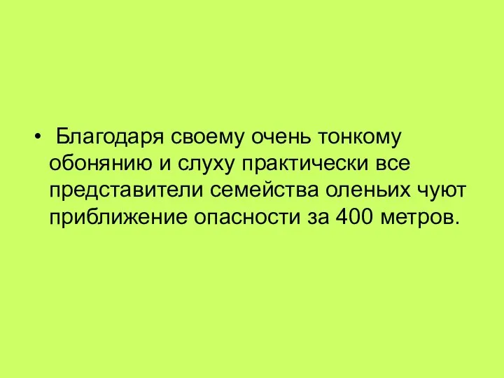 Благодаря своему очень тонкому обонянию и слуху практически все представители