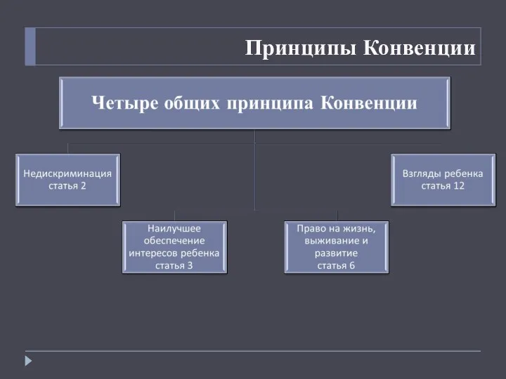 Принципы Конвенции