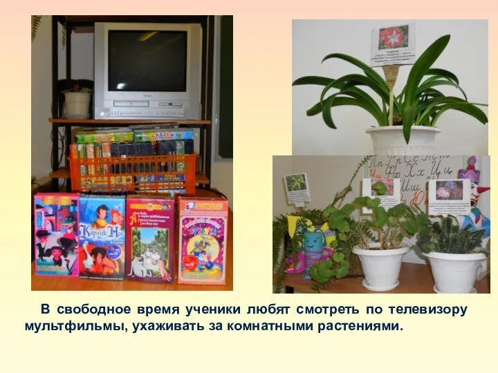 В свободное время ученики любят смотреть по телевизору мультфильмы, ухаживать за комнатными растениями.