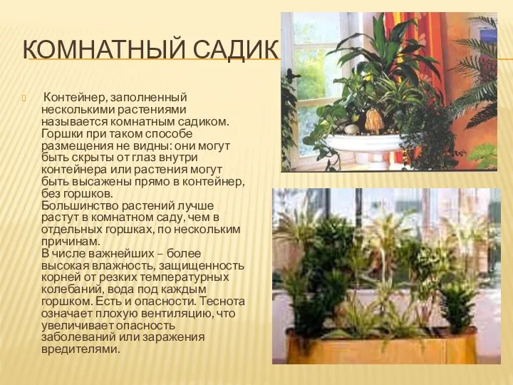 Комнатный садик Контейнер, заполненный несколькими растениями называется комнатным садиком. Горшки