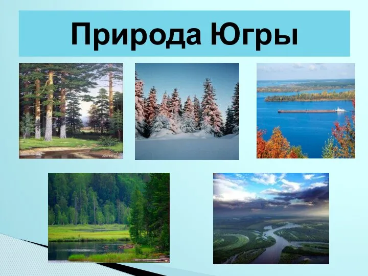 Природа Югры