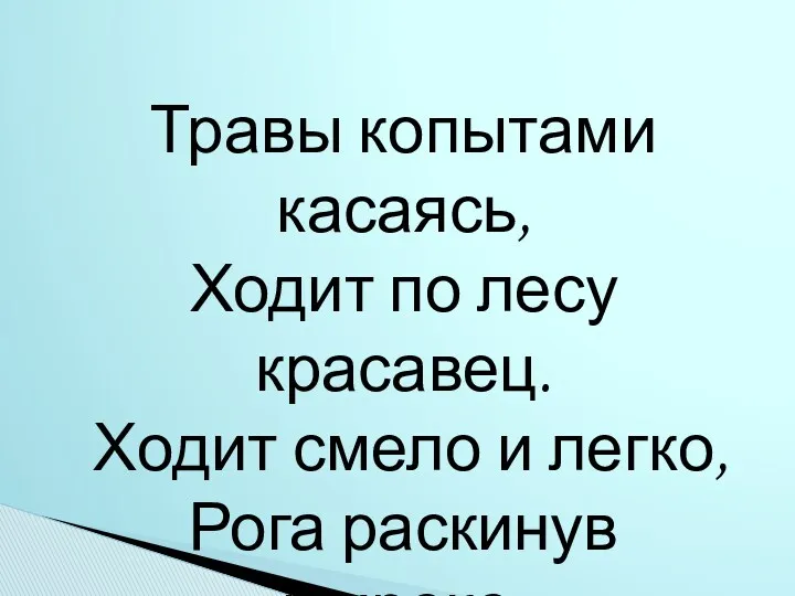 Травы копытами касаясь, Ходит по лесу красавец. Ходит смело и легко, Рога раскинув широко.