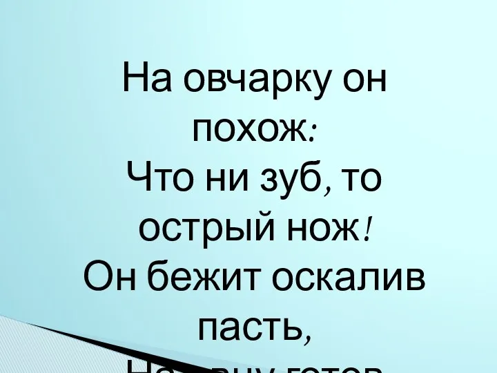 На овчарку он похож: Что ни зуб, то острый нож! Он бежит оскалив