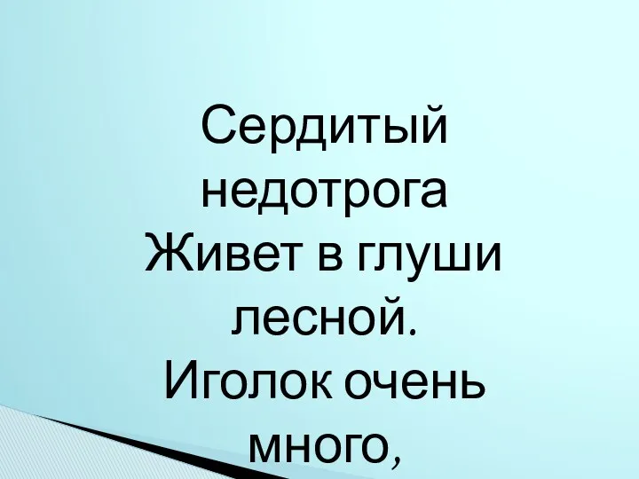 Сердитый недотрога Живет в глуши лесной. Иголок очень много, А нитки ни одной.