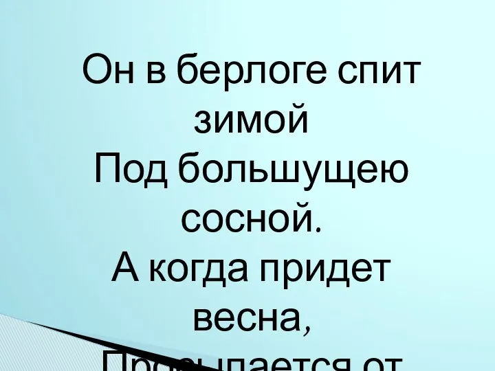 Он в берлоге спит зимой Под большущею сосной. А когда придет весна, Просыпается от сна.