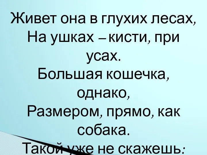 Живет она в глухих лесах, На ушках – кисти, при усах. Большая кошечка,