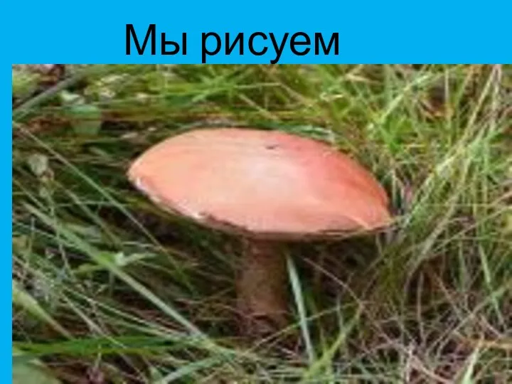 Мы рисуем