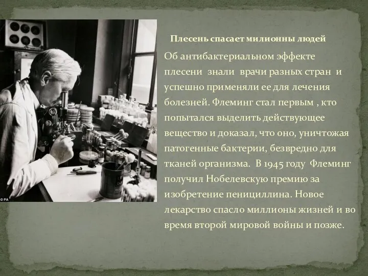 Об антибактериальном эффекте плесени знали врачи разных стран и успешно применяли ее для