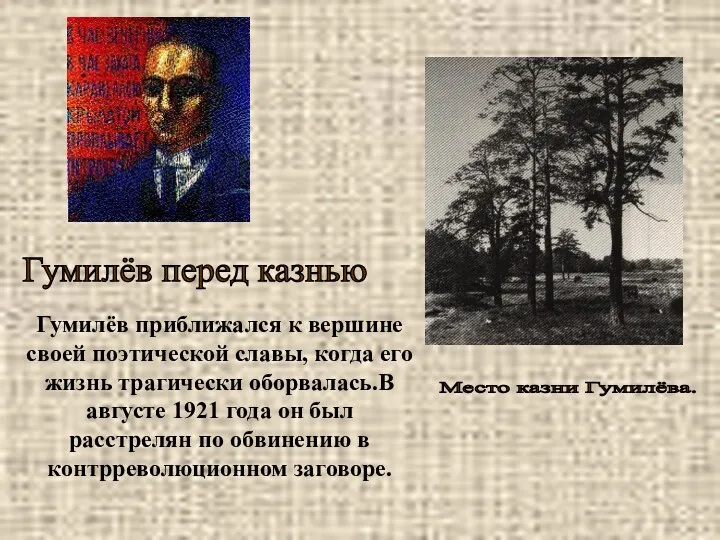 Гумилёв приближался к вершине своей поэтической славы, когда его жизнь