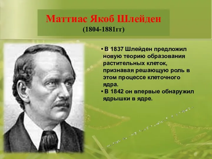 Маттиас Якоб Шлейден (1804-1881гг) В 1837 Шлейден предложил новую теорию