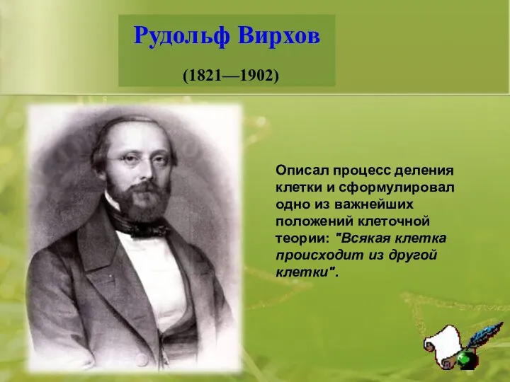 Рудольф Вирхов (1821—1902) Описал процесс деления клетки и сформулировал одно