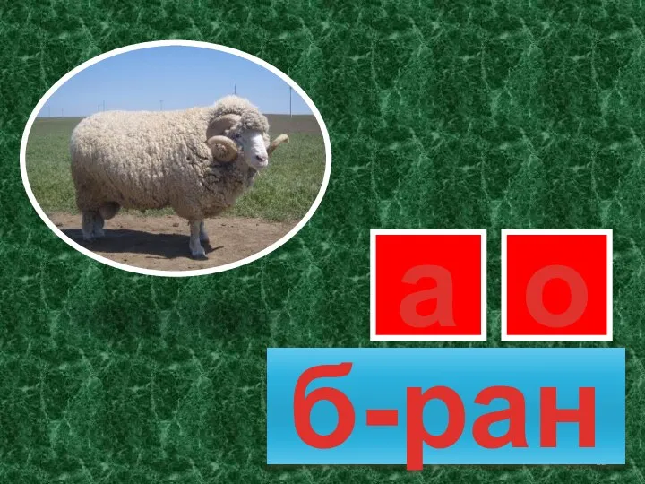 б-ран а о