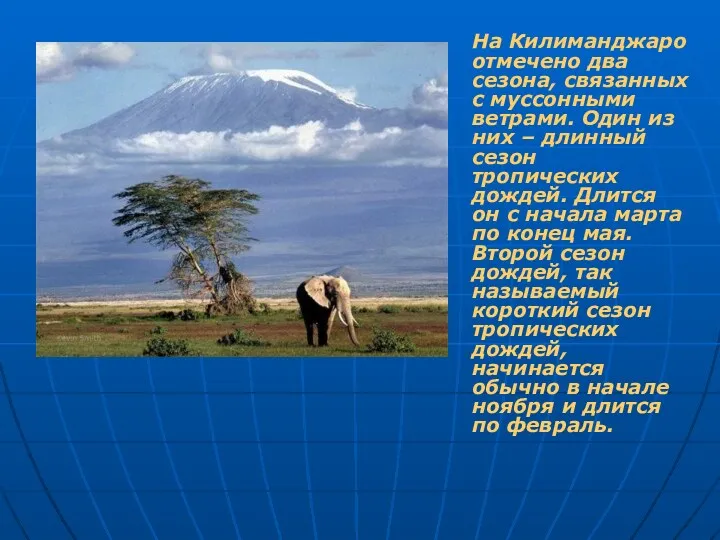 На Килиманджаро отмечено два сезона, связанных с муссонными ветрами. Один