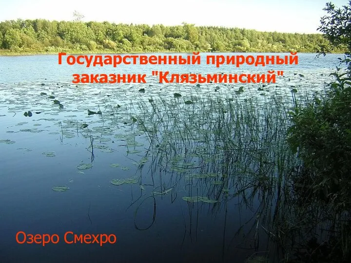 Государственный природный заказник "Клязьминский" Озеро Смехро