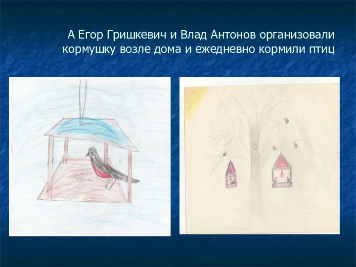 А Егор Гришкевич и Влад Антонов организовали кормушку возле дома и ежедневно кормили птиц
