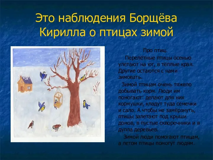 Это наблюдения Борщёва Кирилла о птицах зимой Про птиц. Перелётные птицы осенью улетают