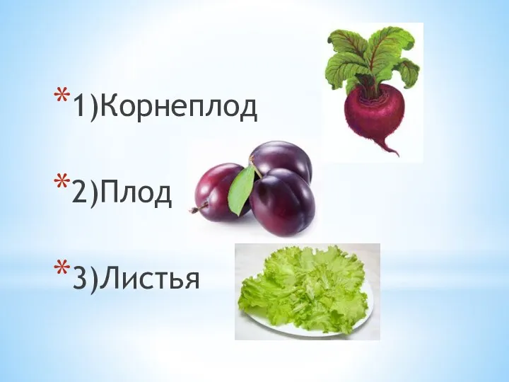 1)Корнеплод 2)Плод 3)Листья