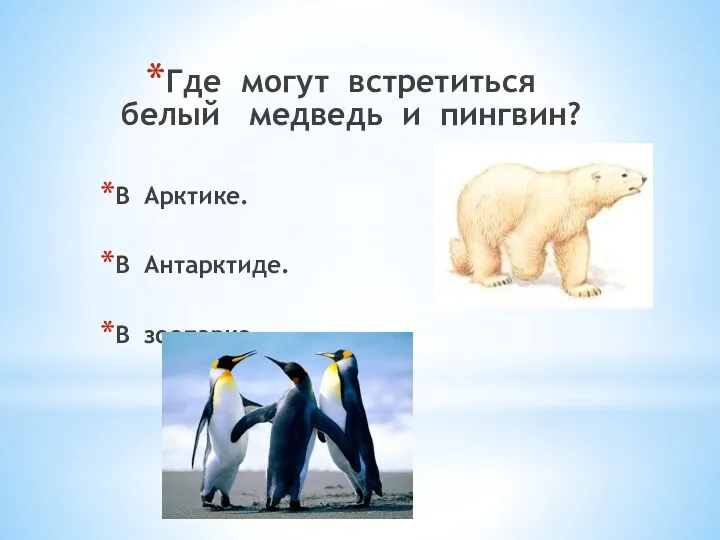 Где могут встретиться белый медведь и пингвин? В Арктике. В Антарктиде. В зоопарке.