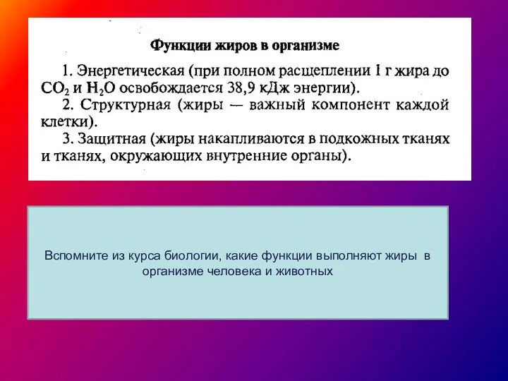 Вспомните из курса биологии, какие функции выполняют жиры в организме человека и животных